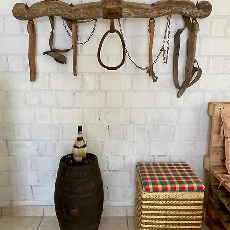 L'olivo - 1932 Apartment *