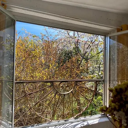 L'olivo - 1932 Apartment