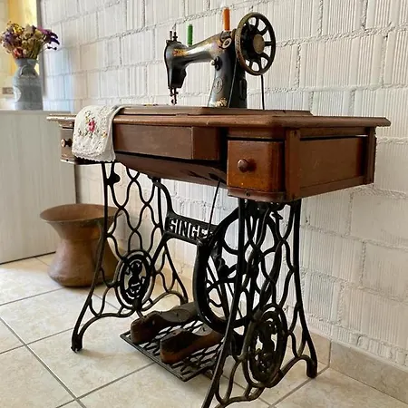 L'olivo - 1932 * Controguerra