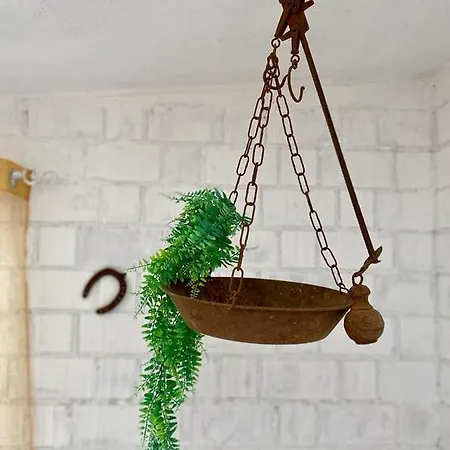 L'olivo - 1932 Apartment *