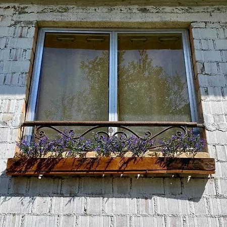 L'olivo - 1932 Apartment *