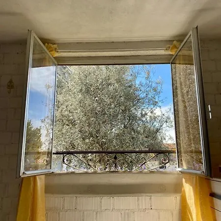 Apartment L'olivo - 1932 *