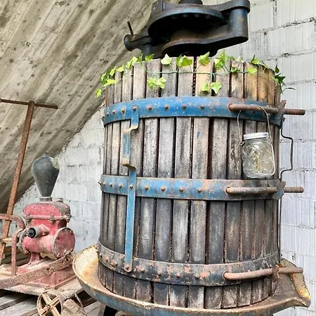 L'olivo - 1932 Controguerra