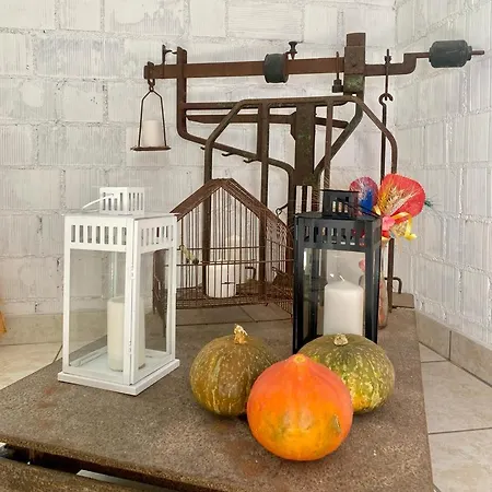 L'olivo - 1932 * Controguerra