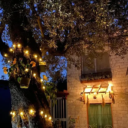 Apartment L'olivo - 1932