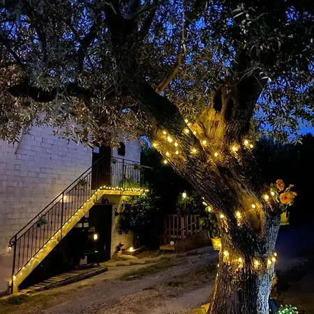 شقة L'olivo - 1932 Controguerra