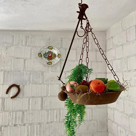 L'olivo - 1932 Apartment