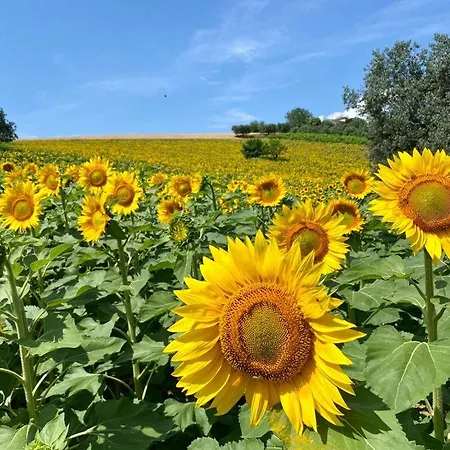 Apartment L'olivo - 1932 *