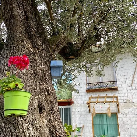 L'olivo - 1932 شقة *