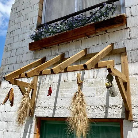 L'olivo - 1932 * Controguerra