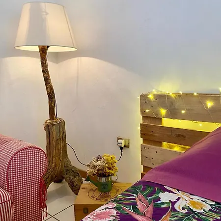 L'olivo - 1932 Controguerra