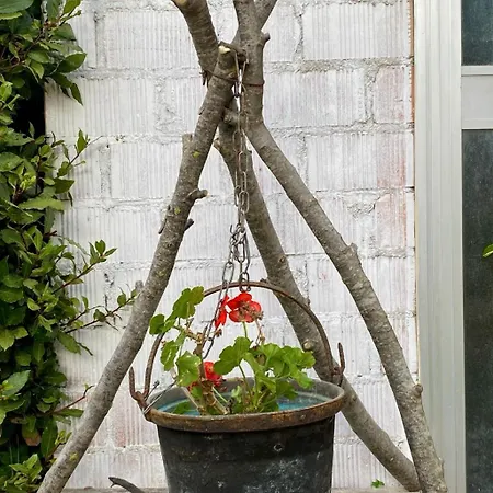 L'olivo - 1932 Controguerra