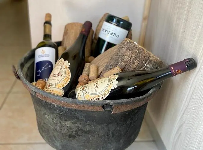 L'olivo - 1932 * Controguerra