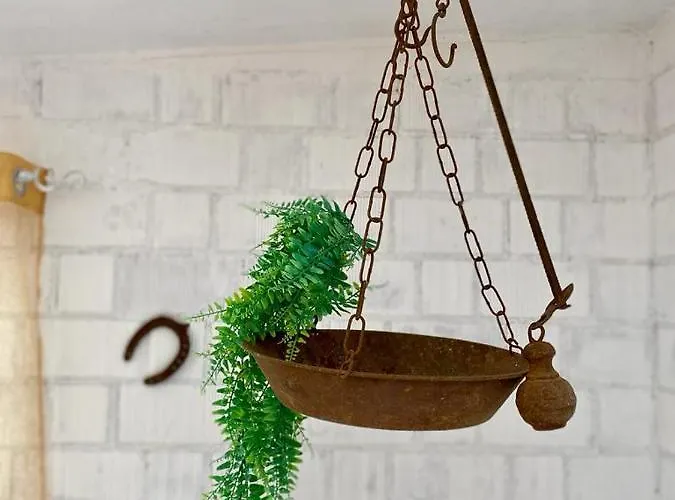 L'olivo - 1932 Appartement *