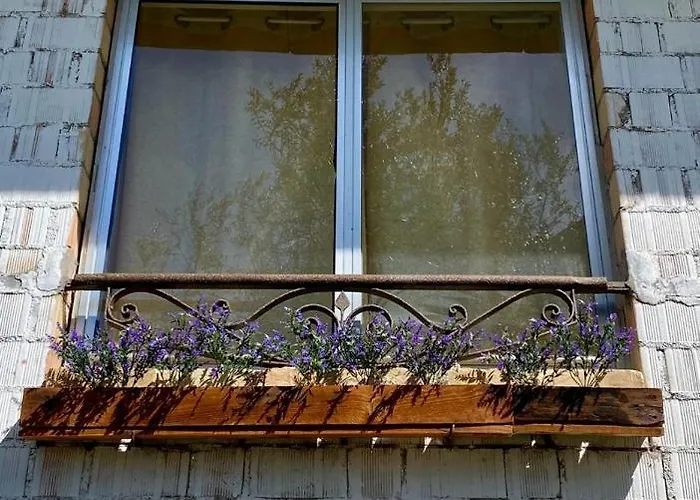 L'olivo - 1932 Appartement *