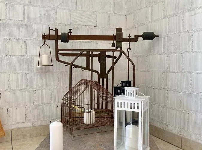 L'olivo - 1932 Controguerra