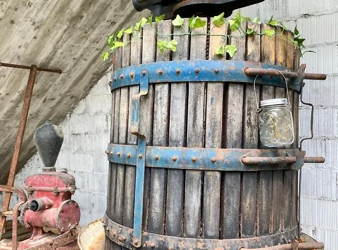 L'olivo - 1932 Controguerra