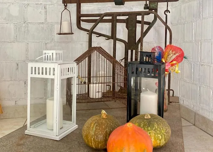 L'olivo - 1932 * Controguerra