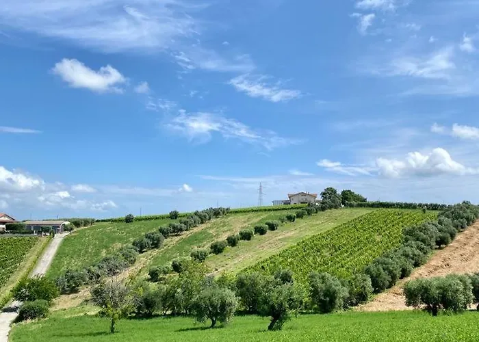 L'olivo - 1932 Апартаменты *