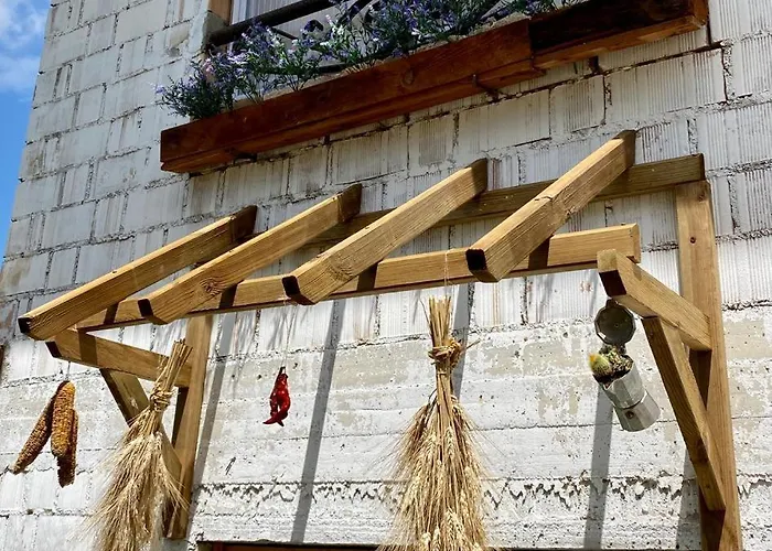 L'olivo - 1932 * Controguerra