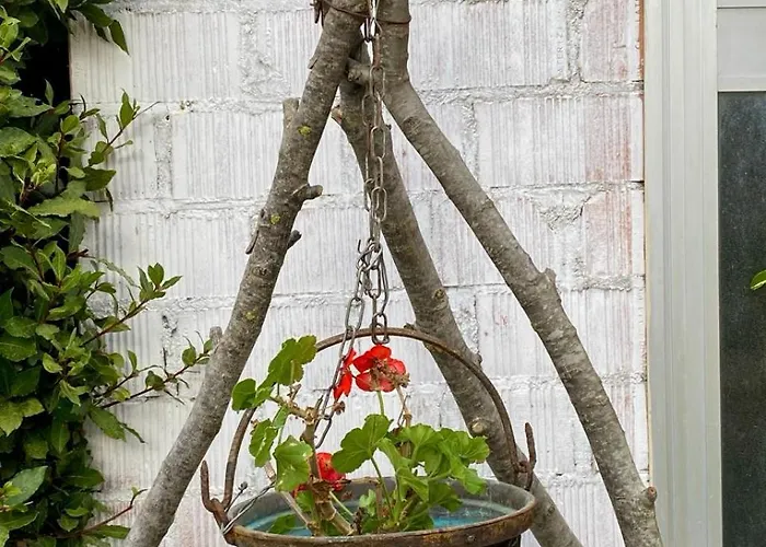 L'olivo - 1932 Controguerra